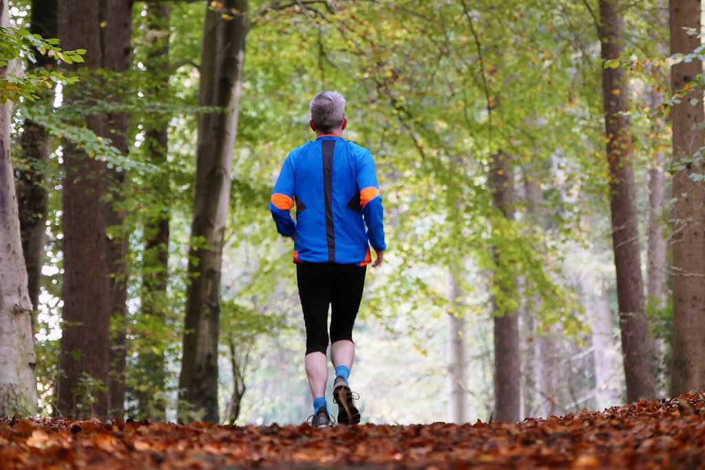 Gesund abnehmen: Lockere Läufe im Wald